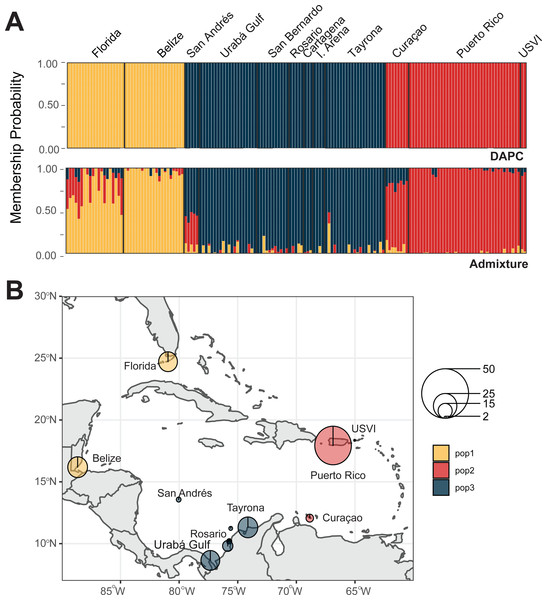 Population assignments for Acropora palmata across the wider Caribbean region.