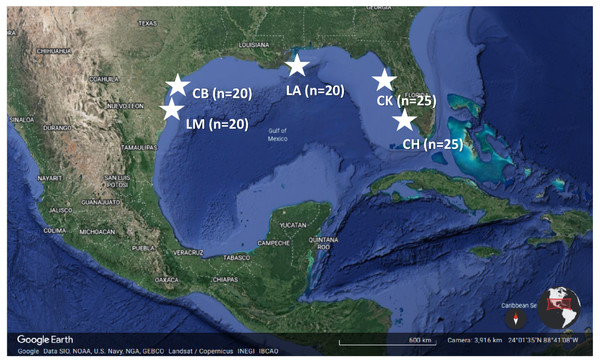 Location of the five study estuaries (stars) throughout the northern Gulf of Mexico.