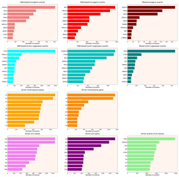 Top 10 driver events from different molecular and functional classes sorted by the number of occurrences in TCGA PanCanAtlas.