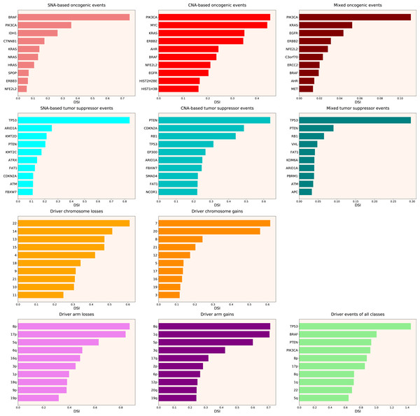 Top 10 driver events from different molecular and functional classes sorted by DSI.