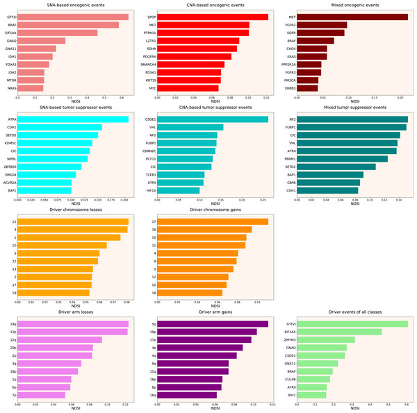 Top 10 driver events from different molecular and functional classes sorted by NDSI.