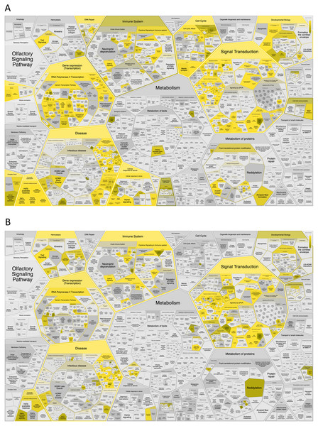 Significant overrepresentation of top 50 DSI-(A) and NDSI-(B) ranked genes in Reactome v77 pathways.