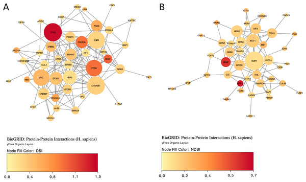 The BioGRID protein-protein interactions network of top 50 DSI-(A) and NDSI-(B) ranked genes.