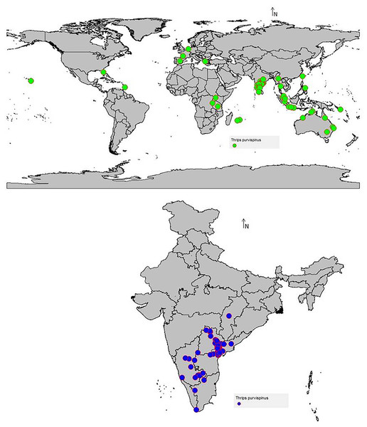 Thrips parvispinus occurrence records of India and the world.