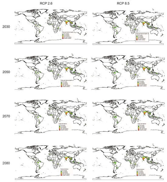 Prediction of distribution of Thrips parvispinus under future climate model of Cisro.mk3.