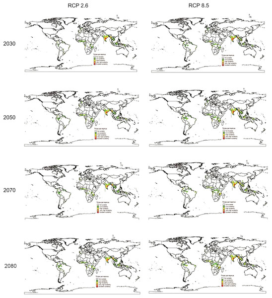 Prediction of distribution of Thrips parvispinus under future climate model of GFDL.