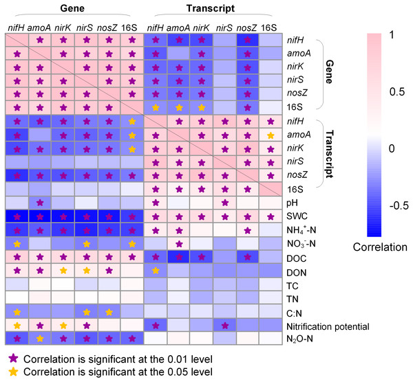 Heatmap showing Pearson correlation among genes, gene transcripts, and soil properties.