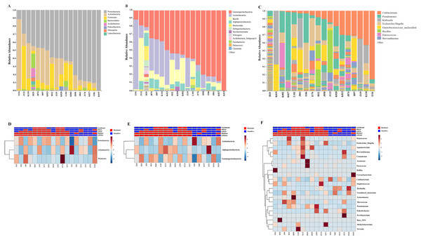 Taxonomic composition of the intratumoral bacteria in cholangiocarcinoma tissues.