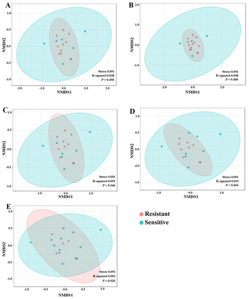 The non-metric multidimensional scaling (NMDS) plot based on Euclidean distance (β-diversity) at class level. (A) LDGen (B) HDGem (C) LDCis (D) HDCis (E) combined.