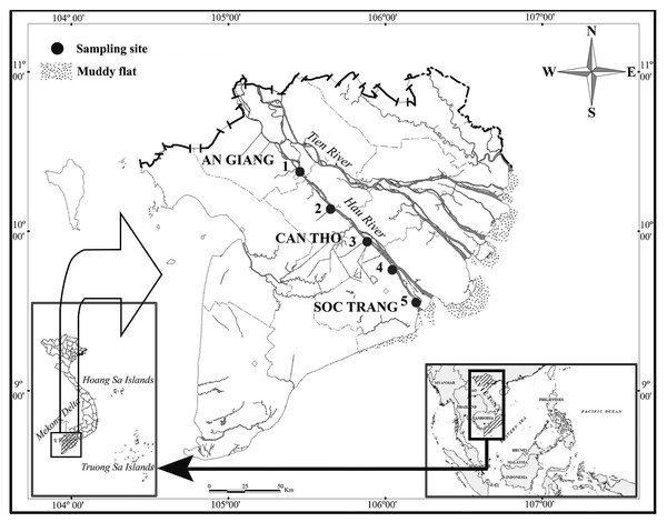 The sampling map in the Mekong Delta.