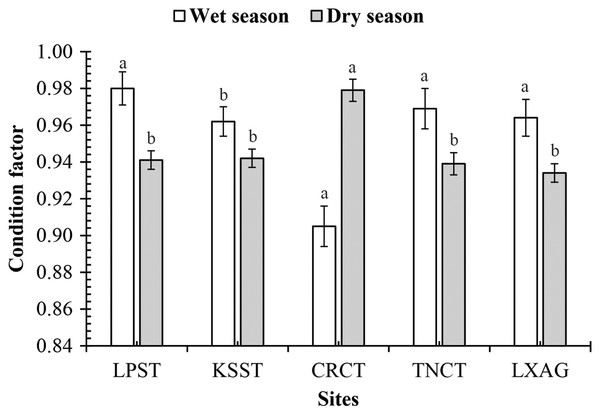 The condition factor of Periophthalmodon septemradiatus by season and site interaction.