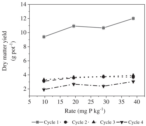Effect of the cropping cycle × rate interaction on maize dry matter yield.