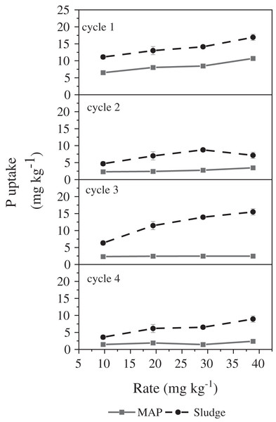 Effect of rate × cycle × P source interaction on P-uptake by maize.