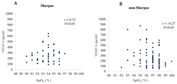 Correlations of plasma VEGF-A concentrations with oxygen saturation (SpO2) in the Sherpas at high altitude and non-Sherpas at low altitude.