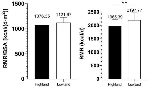 Comparisons of relative and absolute resting metabolic rate amid highland and lowland groups.