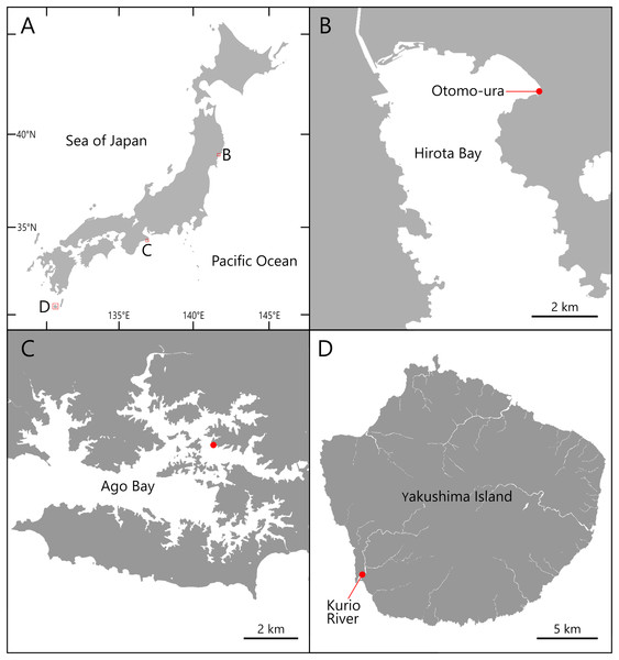 Maps of the sampling localities of Atherospio aestuarii sp. nov.