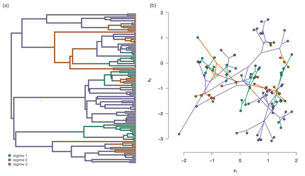 (A) Example simulated phylogenetic tree with three mapped evolutionary regimes; and (B) the phylogeny of (A) projected into a two dimensional phenotypic trait space.