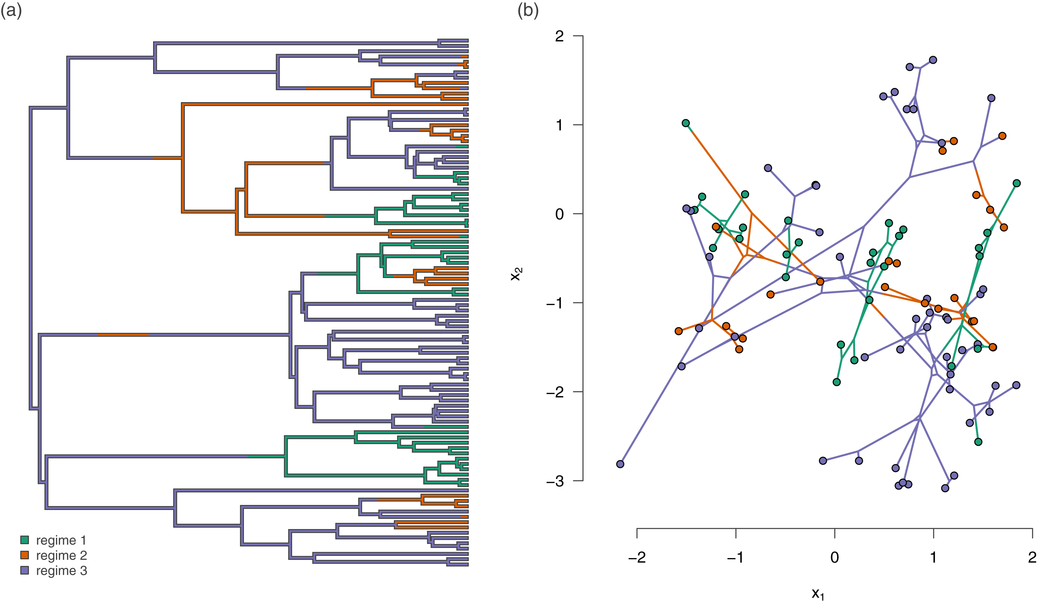 Phylogenetic analysis