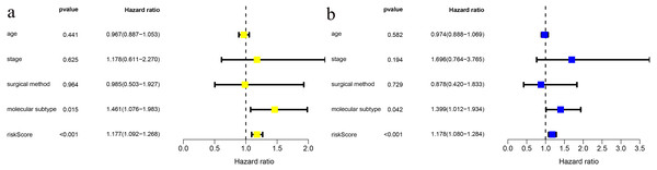 Risk factor analysis of ≤ 45-year-old breast cancer patients from the TCGA demonstrates that the risk scoring signature is an independent risk factor.