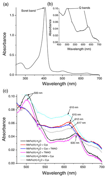 Spectral characterization (at 250–700 nm) of tuna metmyoglobin (MbFe(III)-H2O).