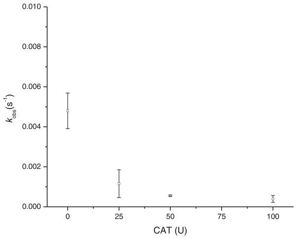 Effect of catalase in the rate constant of sulfmyoglobin formation at pH 5.6 and 4 mM Cys.
