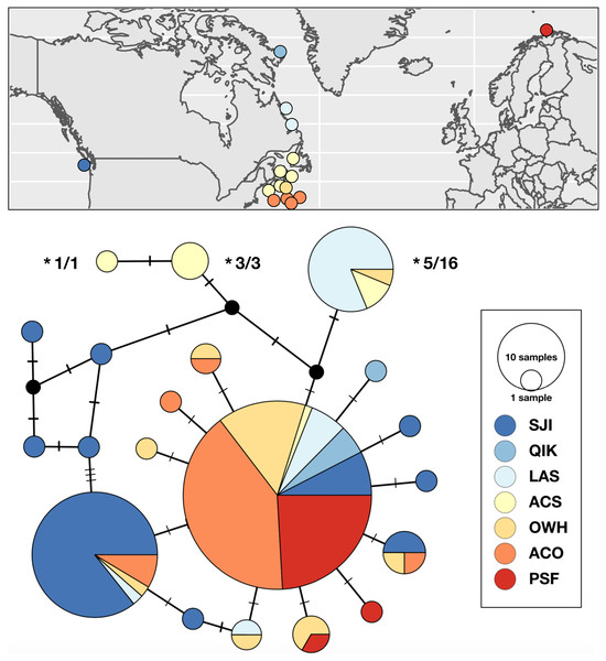 Sampling locations, haplotype distribution, and TCS haplotype network of COI mtDNAsequences for Strongylocentrotus pallidus (n = 156).