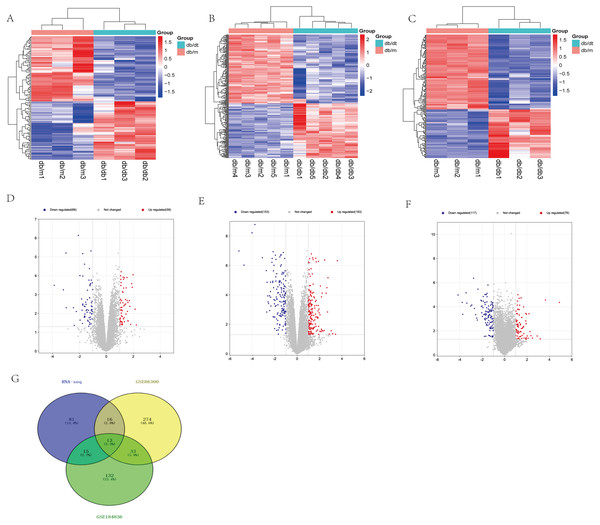 Differential expression analysis of our RNA-seq and two GEO datasets (GSE86300 and GSE184836).