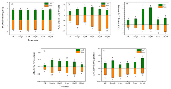 Effects of exogenous application of melatonin on antioxidant enzyme activity in D. lotus roots and leaves under normal and drought stress conditions.