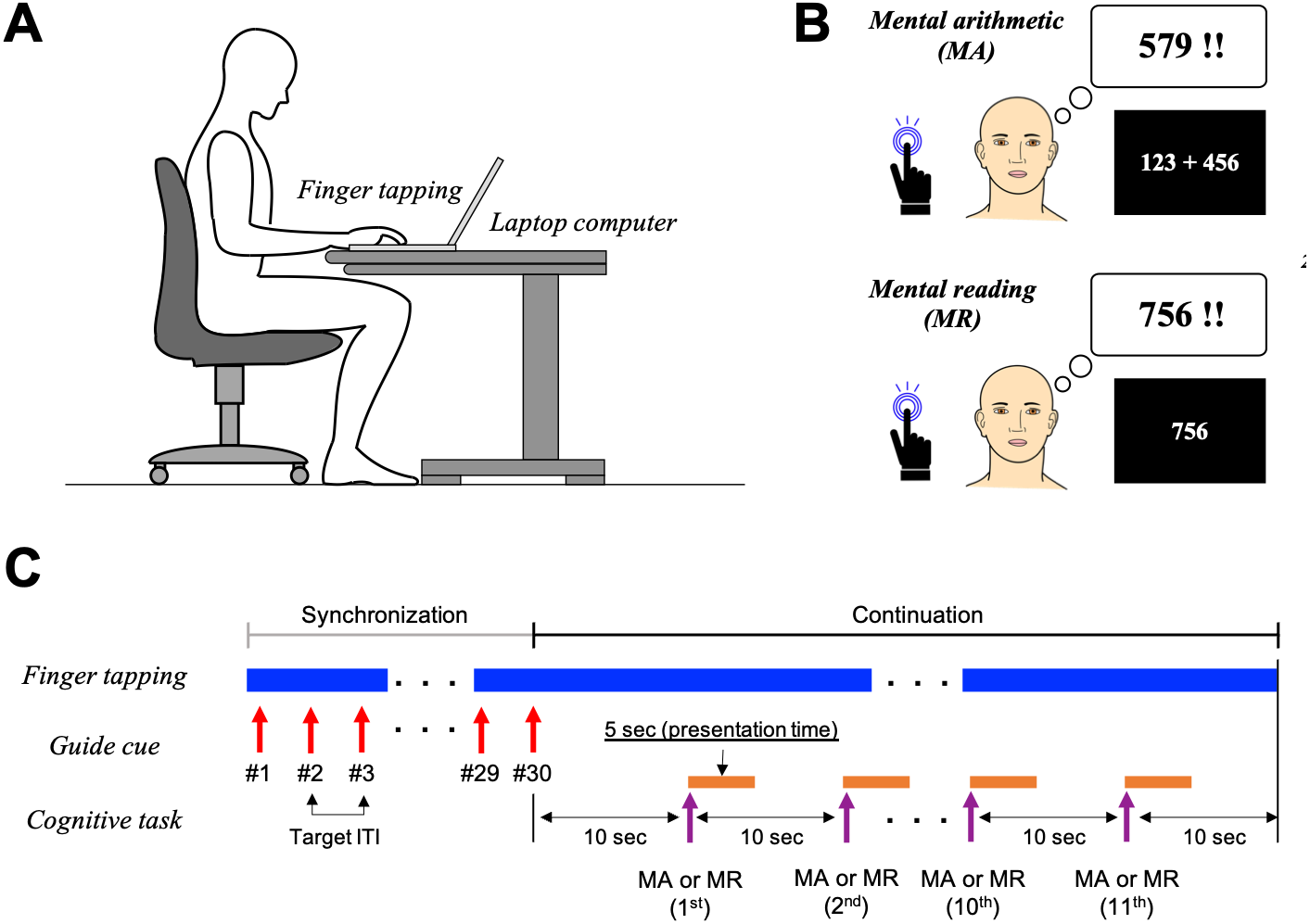 Fig. 1.  Long-Term Consequences of Switching Handedness: A