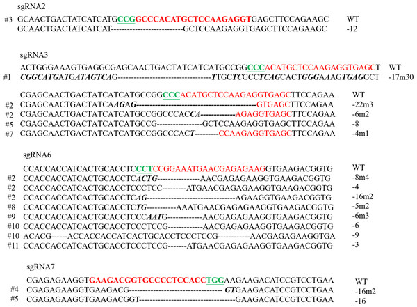 Sequences of modified Scd1 alleles in each embryo for four sgRNAs.