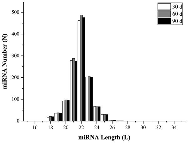 miRNAs length distribution.