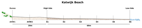 Profile of Katwijk beach, showing the eight sampling points along the transect from dunes to the low tide line.