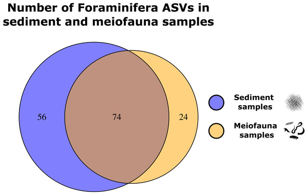 Venn diagrams showing Foraminifera ASVs exclusively found in either the sediment or meiofauna samples, and ASVs found with both sampling techniques.