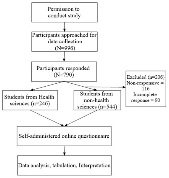 Study flow diagram.