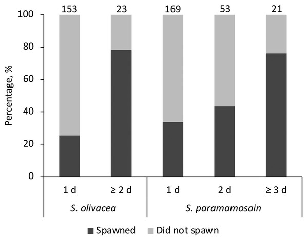 The percentage of females that have successfully spawned and did not spawn, categorised by the stayed duration in the sand tray (1 d, 2 d, or ≥3 d) and species Scylla olivacea and Scylla paramamosain.
