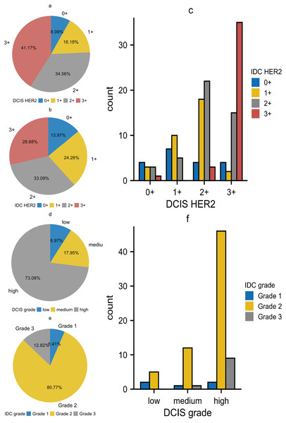 (A–F) The relationship between DCIS and IDC regarding HER2 expression and histological grade.