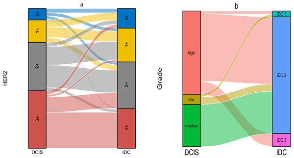 (A–B) The Sankey diagram of relationship between DCIS and IDC.