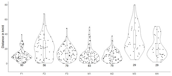 Violin plots showing the estimated daily movement of red fox in the Trans-Himalayan cold desert, Ladakh, India.