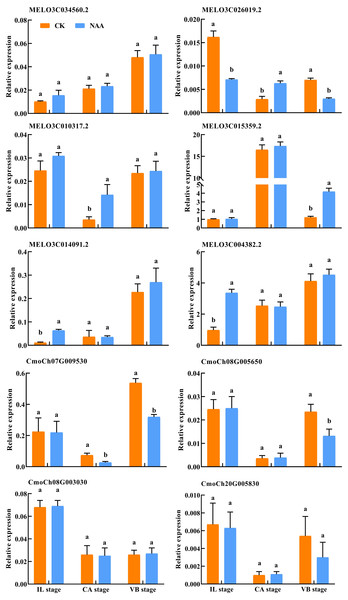 Verification of differentially expressed genes by qRT-PCR.