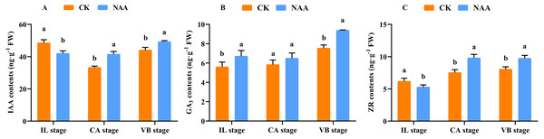 Effects of exogenous NAA application on endogenous hormone contents of IAA, GA, and ZR during graft union development.