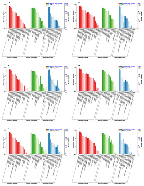 GO functional classification and enrichment analysis of DEGs during graft union development.