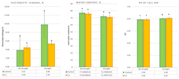 Physiological parameters of the tea tree under drought.