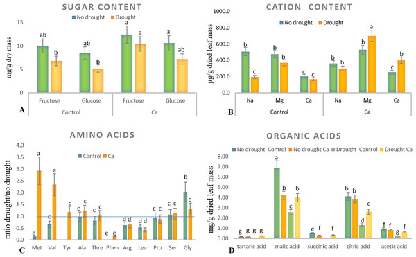 Biochemical parameters in the tea tree under drought.