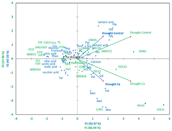 PCA of biochemical and genetic parameters.