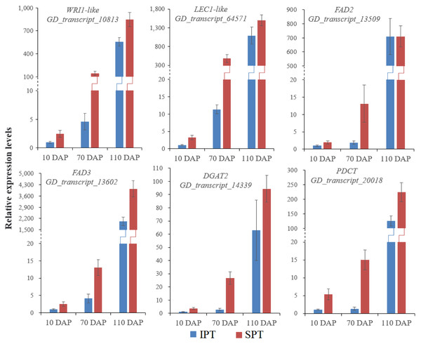 RT-qPCR analysis of some key genes involved in oil accumulation.