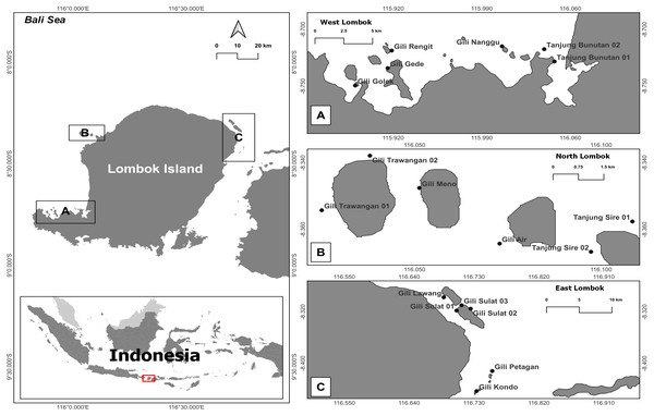Map of the research sites around Lombok Island, Indonesia.