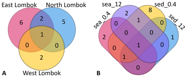 Venn diagram of Symbiodiniaceae subclades around Lombok by: (A) coastal area and (B) method (sample type–filter pore size combination).