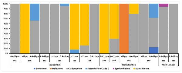 Composition of the relative abundance of Symbiodiniaceae communities across different sites, sample types, and fractions.