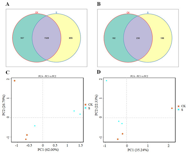 Rhizosphere microbial changes after yellowhorn growth in fly ash.