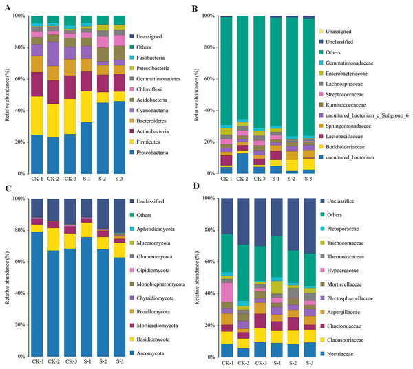 Changes in rhizosphere microbial community diversity at the sapling stages of yellowhorn cultivation.